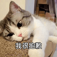 請添加圖片描述
