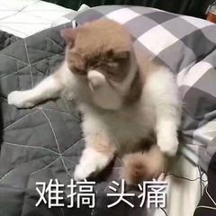 請添加圖片描述