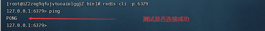 image-20210813142826653