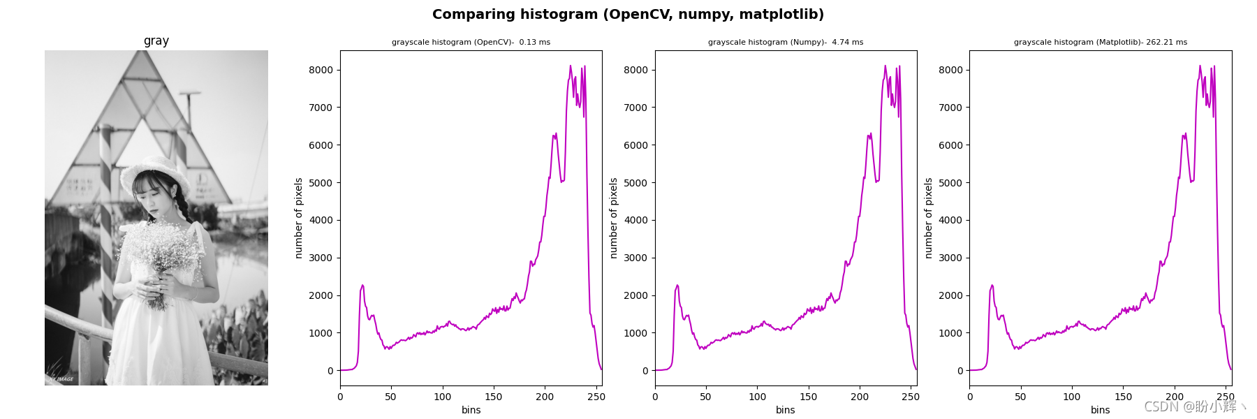 OpenCV、NumPy和Matplotlib灰度直方圖比較
