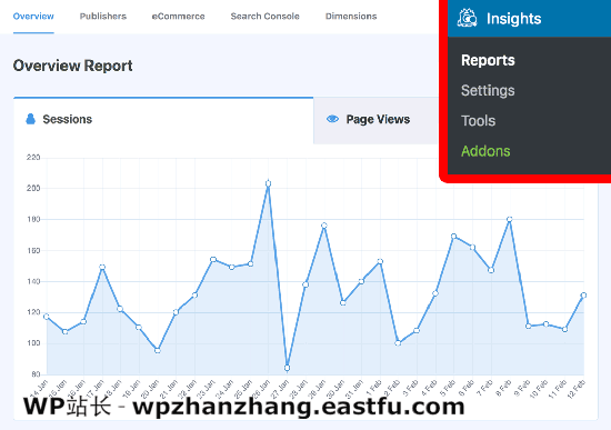 MonsterInsights 中的網站統計報告