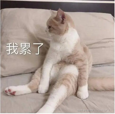 在這里插入圖片描述