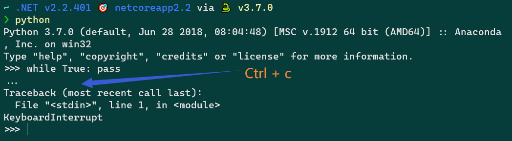 python 中用 ctrl+c 打斷行程