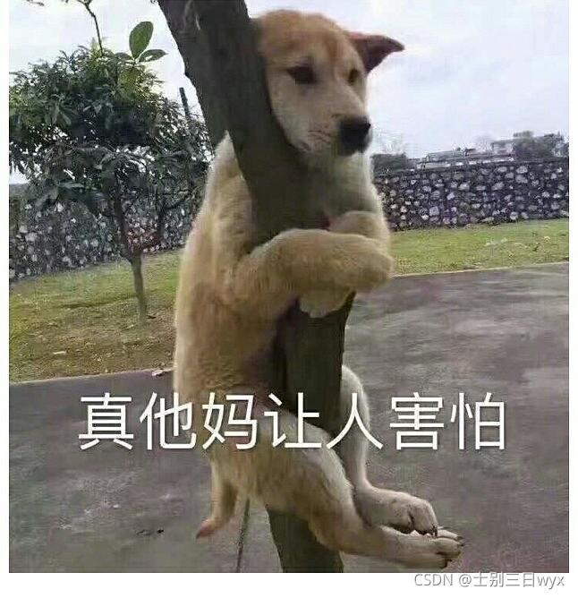 在這里插入圖片描述