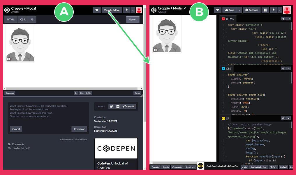 Codepen: (A) 細節視圖; (B) 編輯器視圖