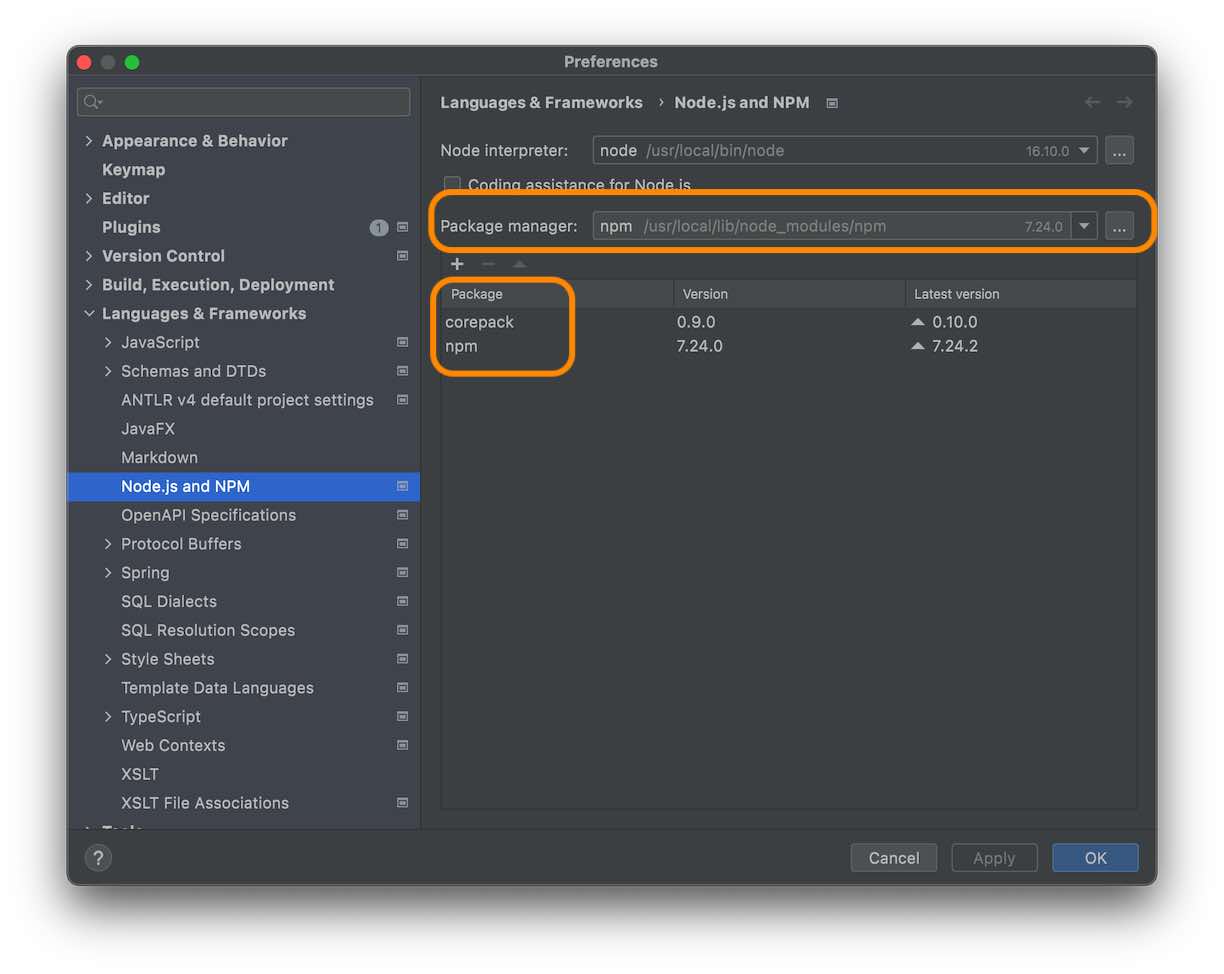 如何在 IntelliJ > Prefs > Languages & Frameworks > Node.js 和 NPM 中將 pnpm 指定為“包管理器”？