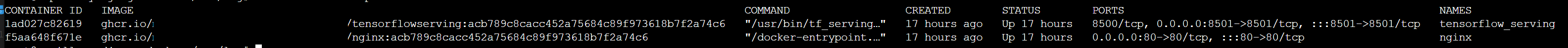 Docker 容器未運行 - Docker-compose