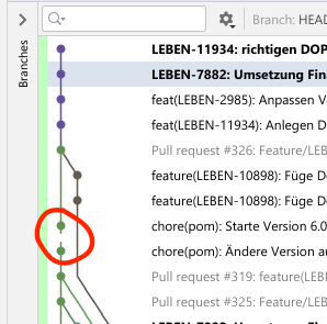 IntelliJ Git 圖中的間隙/虛線是什么意思?