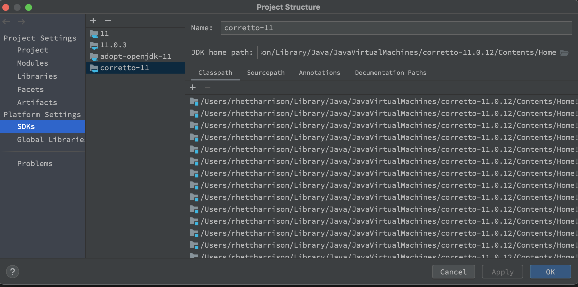 使用 IntelliJ IDEA 進行設定