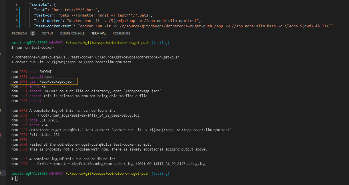 app/package.json error