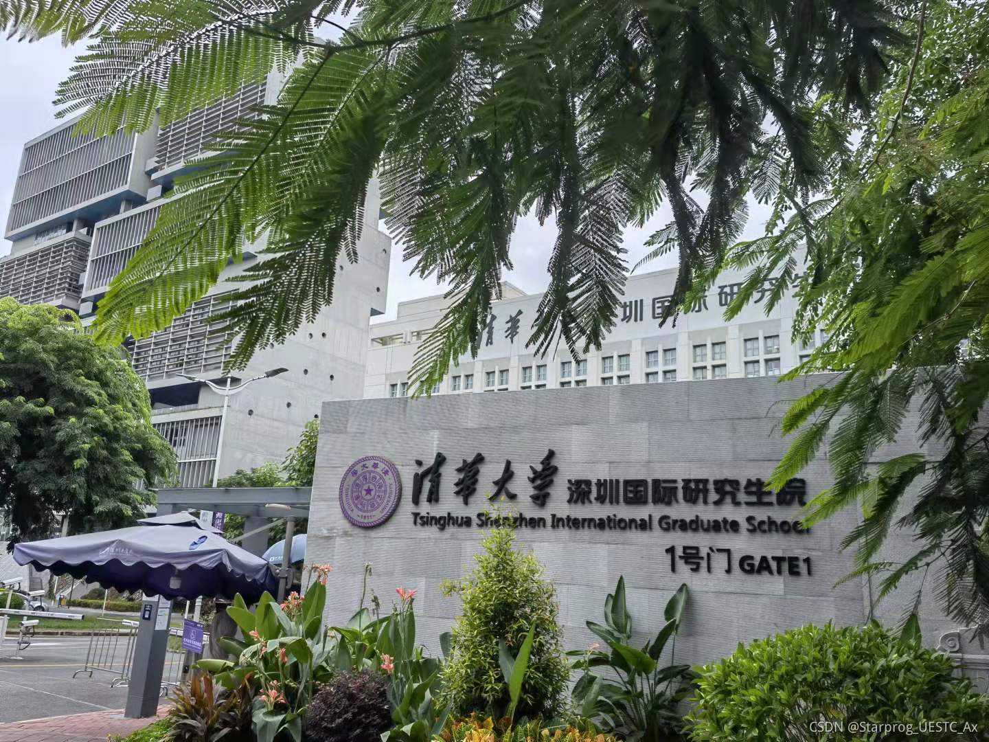 請添加圖片描述