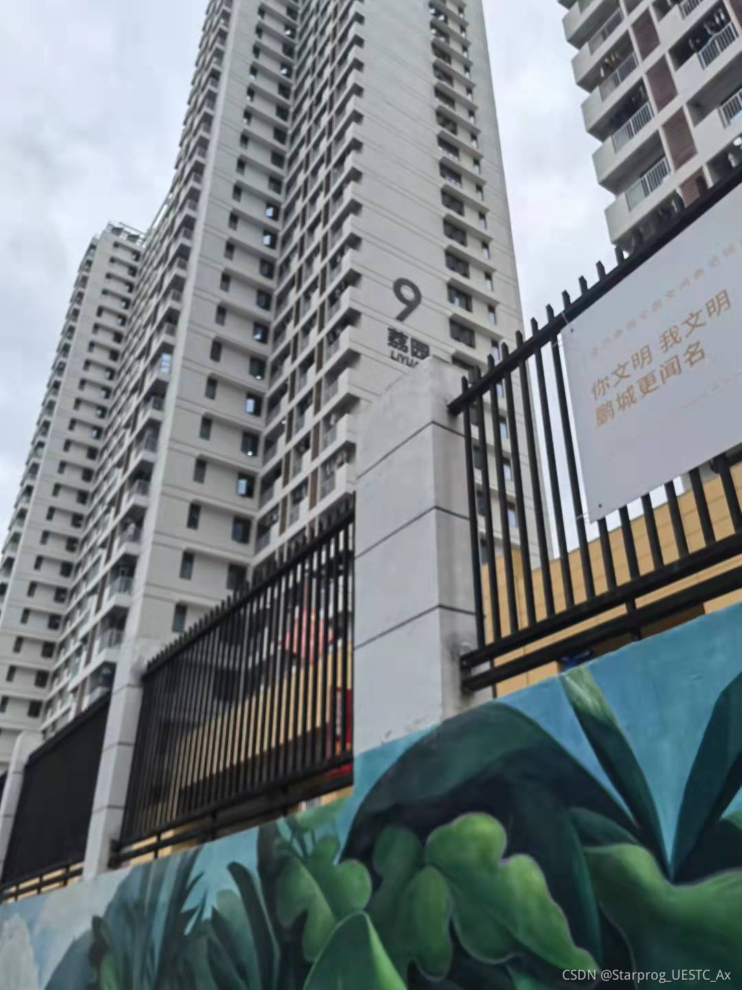 請添加圖片描述