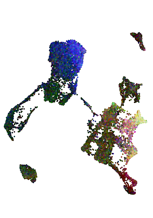 基于ggplot2中多個基因表達的顏色UMAP