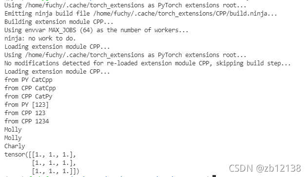 Emitting ninja build file /home/fuchy/.cache/torch_extensions/CPP/build.ninja...Building extension module CPP...Using envvar MAX_JOBS (64) as the number of workers...ninja: no work to do.Loading extension module CPP...Using /home/fuchy/.cache/torch_extensions as PyTorch extensions root...No modifications detected for re-loaded extension module CPP, skipping build step...Loading extension module CPP...from PY CatCppfrom CPP CatCppfrom CPP CatPyfrom PY [123]from CPP 123from CPP 1234MollyMollyCharlytensor([[1., 1., 1.],[1., 1., 1.],[1., 1., 1.]])
