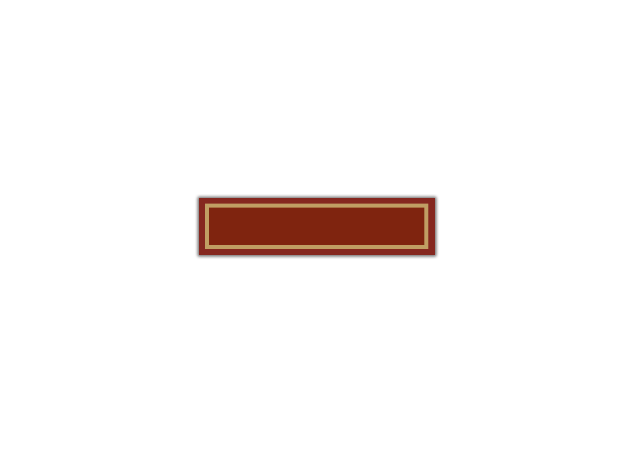 Flutter ElevatedButton 自定義樣式