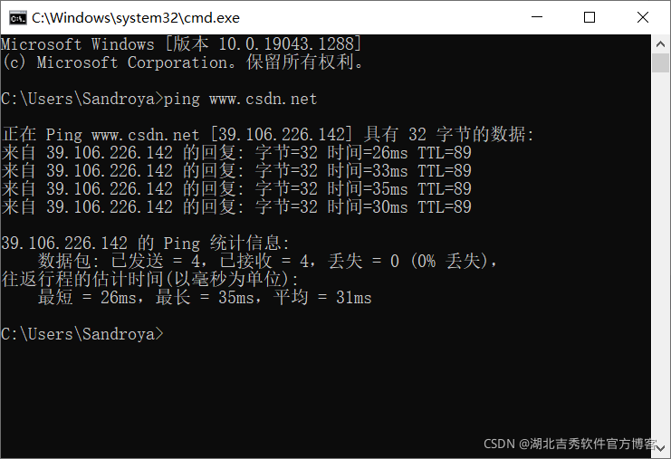 pingcsdn