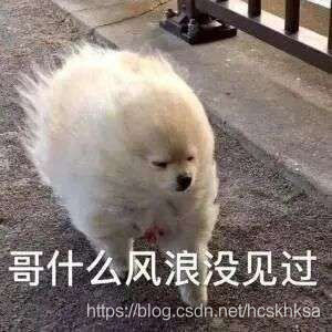 在這里插入圖片描述