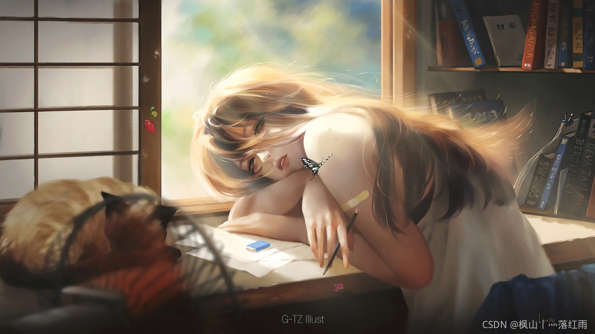在這里插入圖片描述