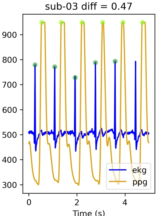 如何使用 matplotlib FuncAnimation 顯示 numpy 陣列的滑動視窗