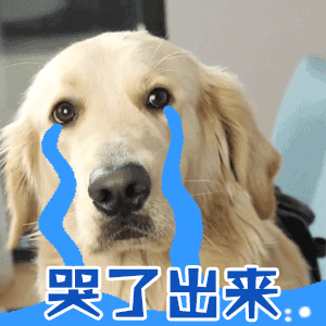 請添加圖片描述