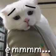 求求了~