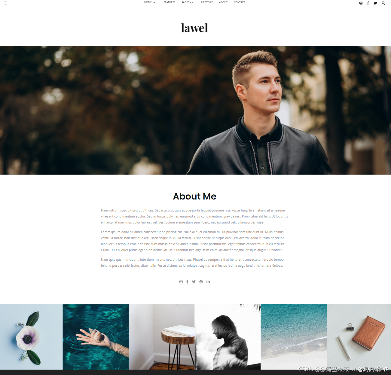 HTML5期末大作業：HTML+CSS+JavaScript+BootStrap 簡約的旅游圖文相冊博客HTML模板_javascript_02