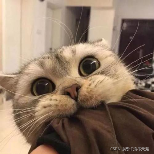 在這里插入圖片描述