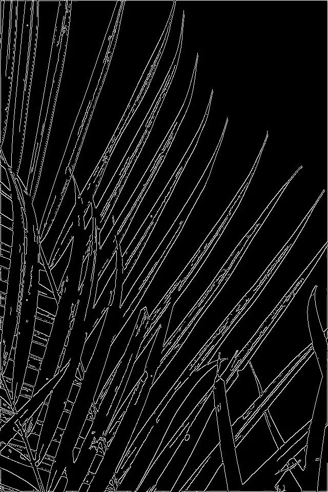 076b1cf750bde1c609d545d677a552c9.png