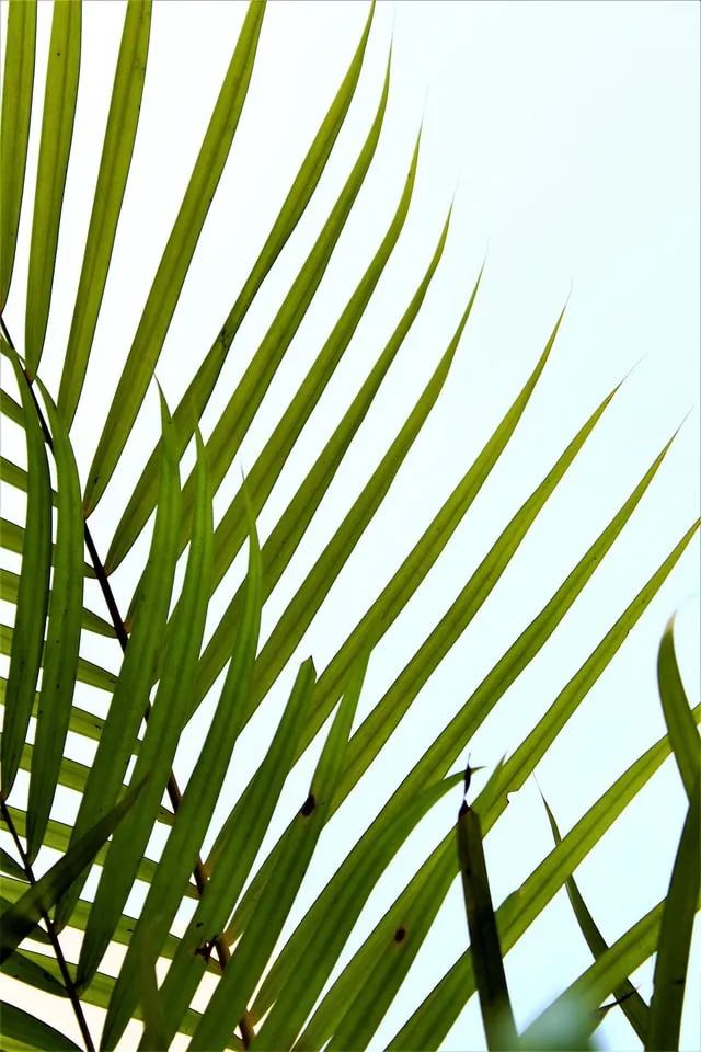 e125712989eb3d968678e8f84ed398d5.png