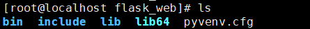 python虛擬運行環境