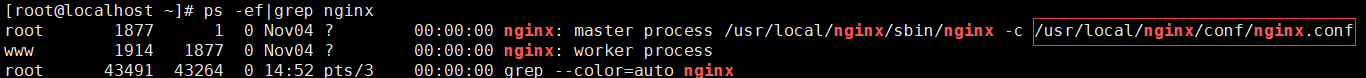 nginx組態檔