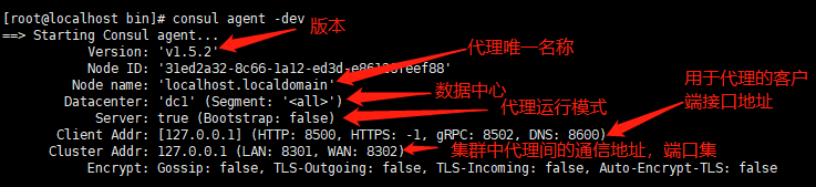 consul描述
