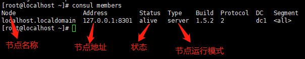consul集群