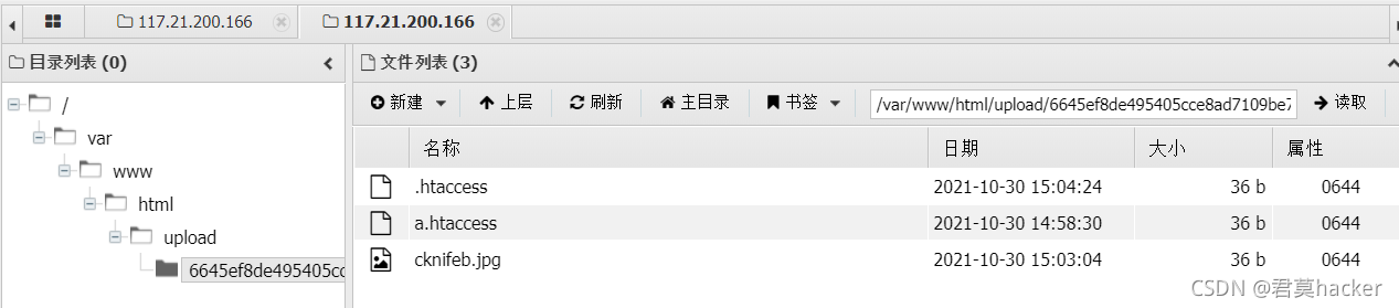 在這里插入圖片描述