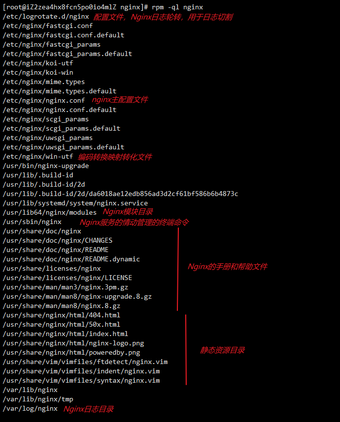 image-20211105134006818