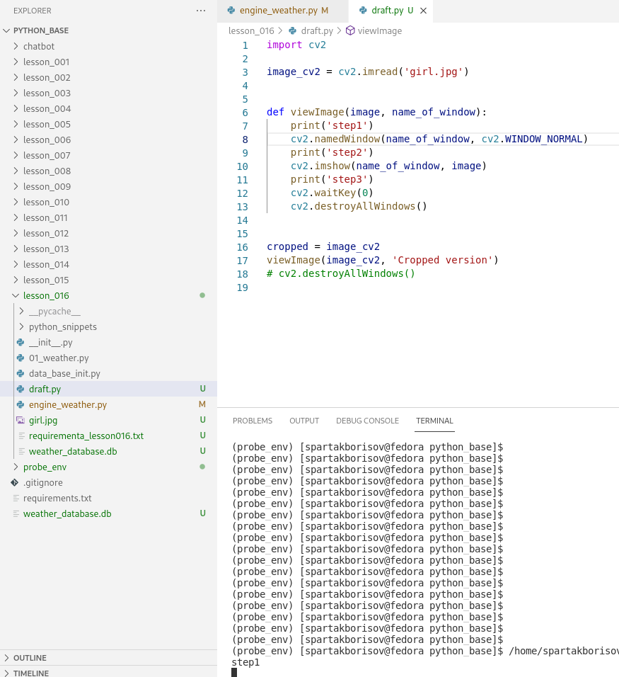 為什么 cv2.namedWindow 不起作用?