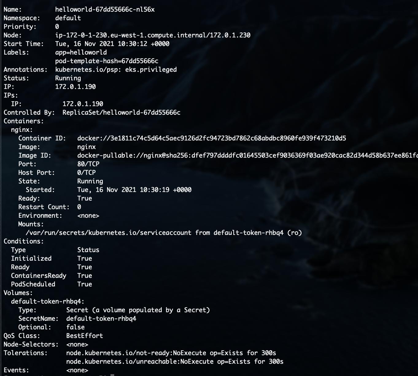 無法訪問 EKS 集群上的 nginx