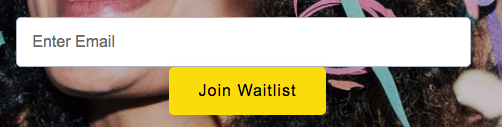 Mailchimp 表單欄位顯示行內不起作用