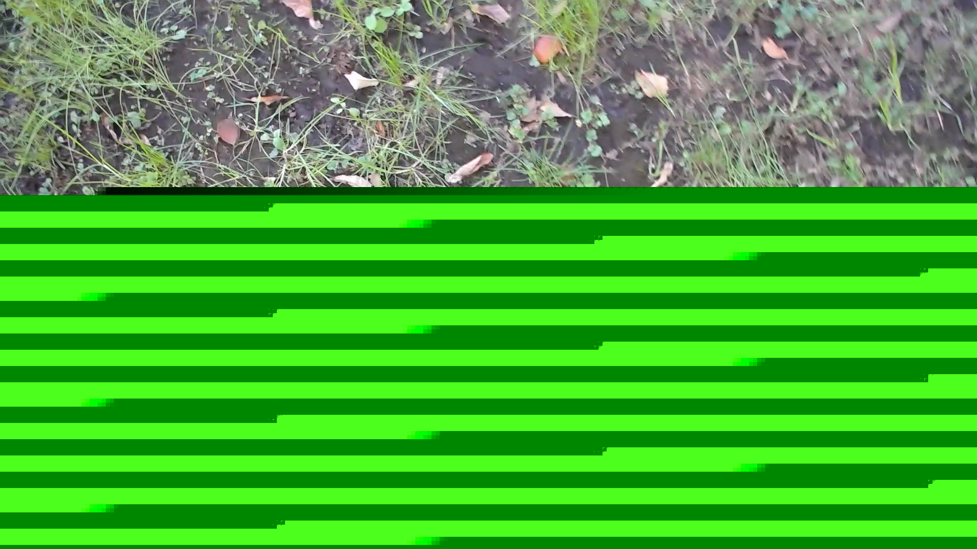 如何在 Python 中處理蒙版影像