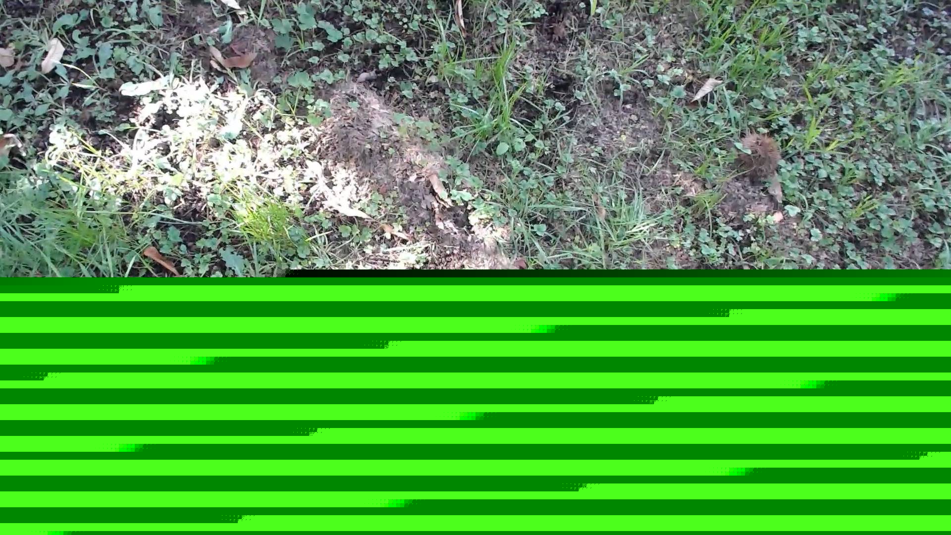 如何在 Python 中處理蒙版影像