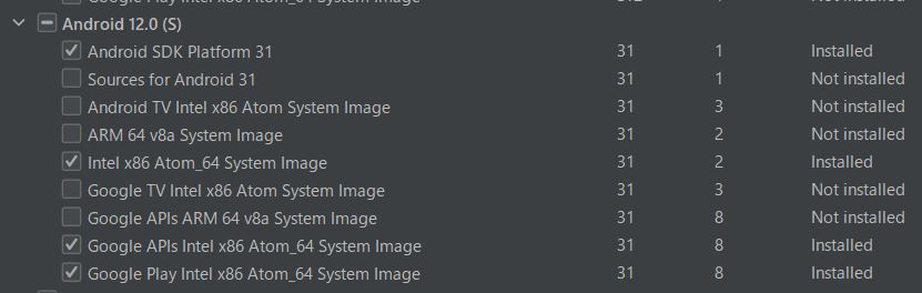 Android Studio - Android 12 / API 31 模擬器中缺少 Google Play 商店應用程式