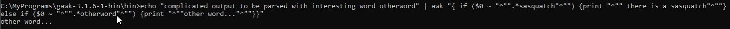 awk 無法在 Windows 上列印字串