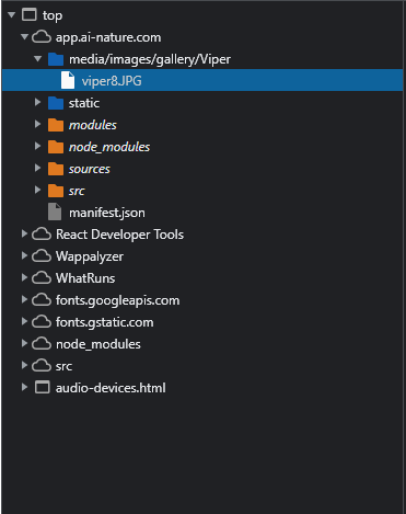 App 引擎未在 React 中提供公共檔案夾的影像