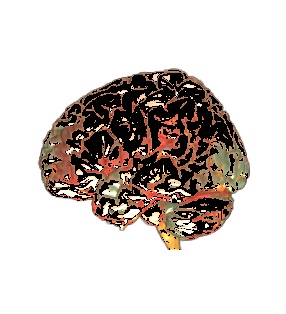 如何洗掉此影像的特定顏色？