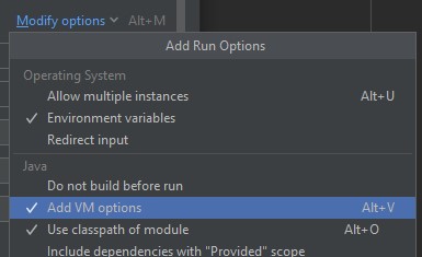 Intellij 社區版是否允許設定 VM 選項？