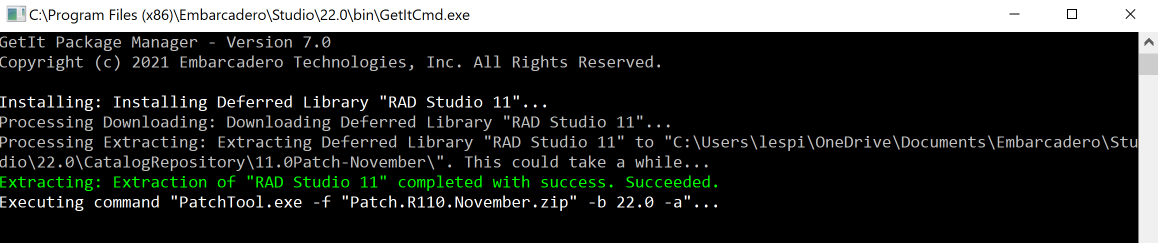 Delphi 11 / RAD Studio 11 月 11 日補丁 - 完成了嗎？