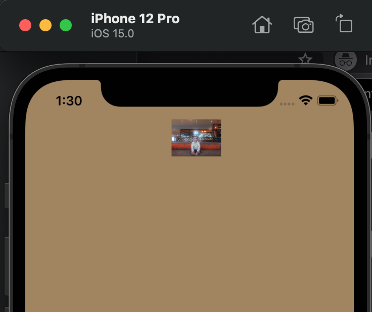 在 UINavigationBar 的標題視圖中添加 UIImageview 沒有按預期作業