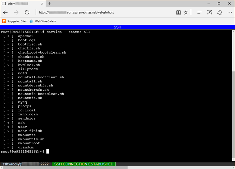Azure 應用服務 Docker Linux 部署 - 我的檔案在哪里？