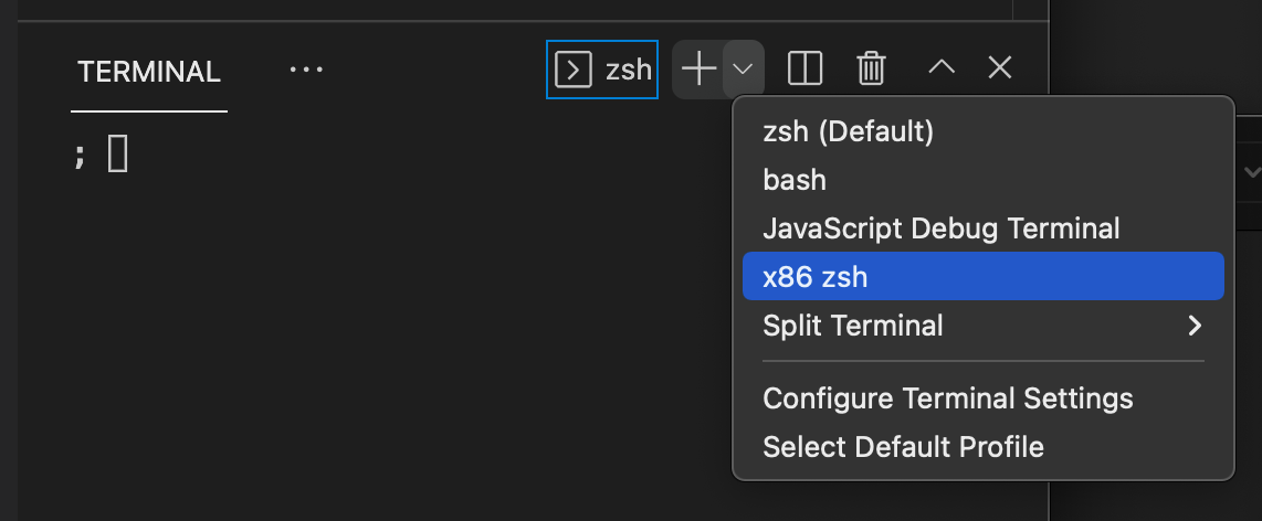 使用 rosetta 終端配置 M1 VSCode ARM