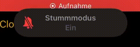 SwiftUI - 影片 HUD/像 iOS 靜默模式一樣彈出